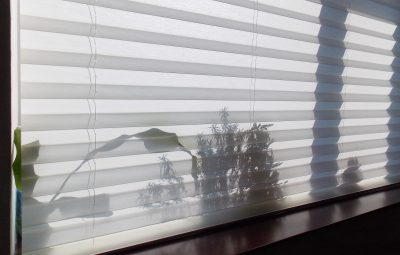 Can Blinds Reduce Noise?