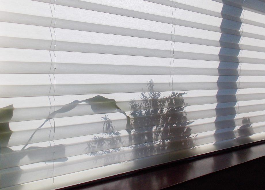 Can Blinds Reduce Noise?