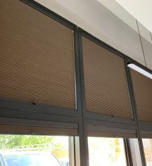 Duette Pleated Blinds