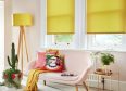 Roller Blind Styles