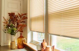 Duette Pleated Blinds