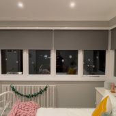 Duette Pleated Blinds