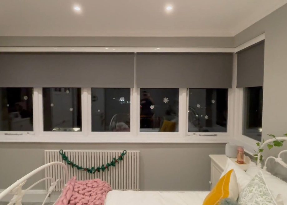 Duette Pleated Blinds